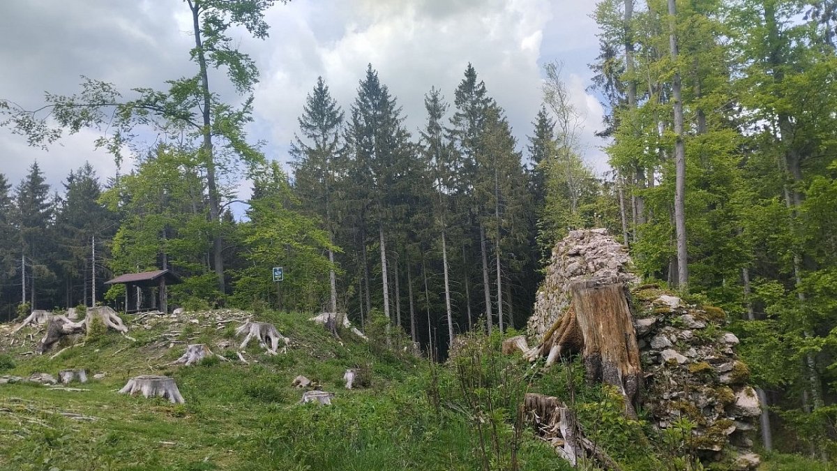 Kynžvart - zřícenina hradu (824&nbsp;m)