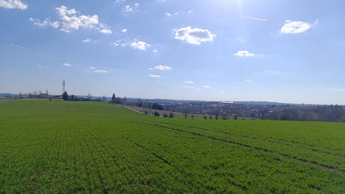 Dobrý ročník (489&nbsp;m)