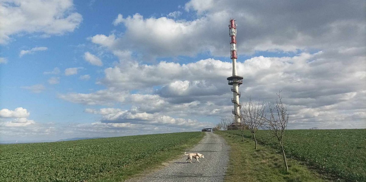 Kanihůra (347&nbsp;m)