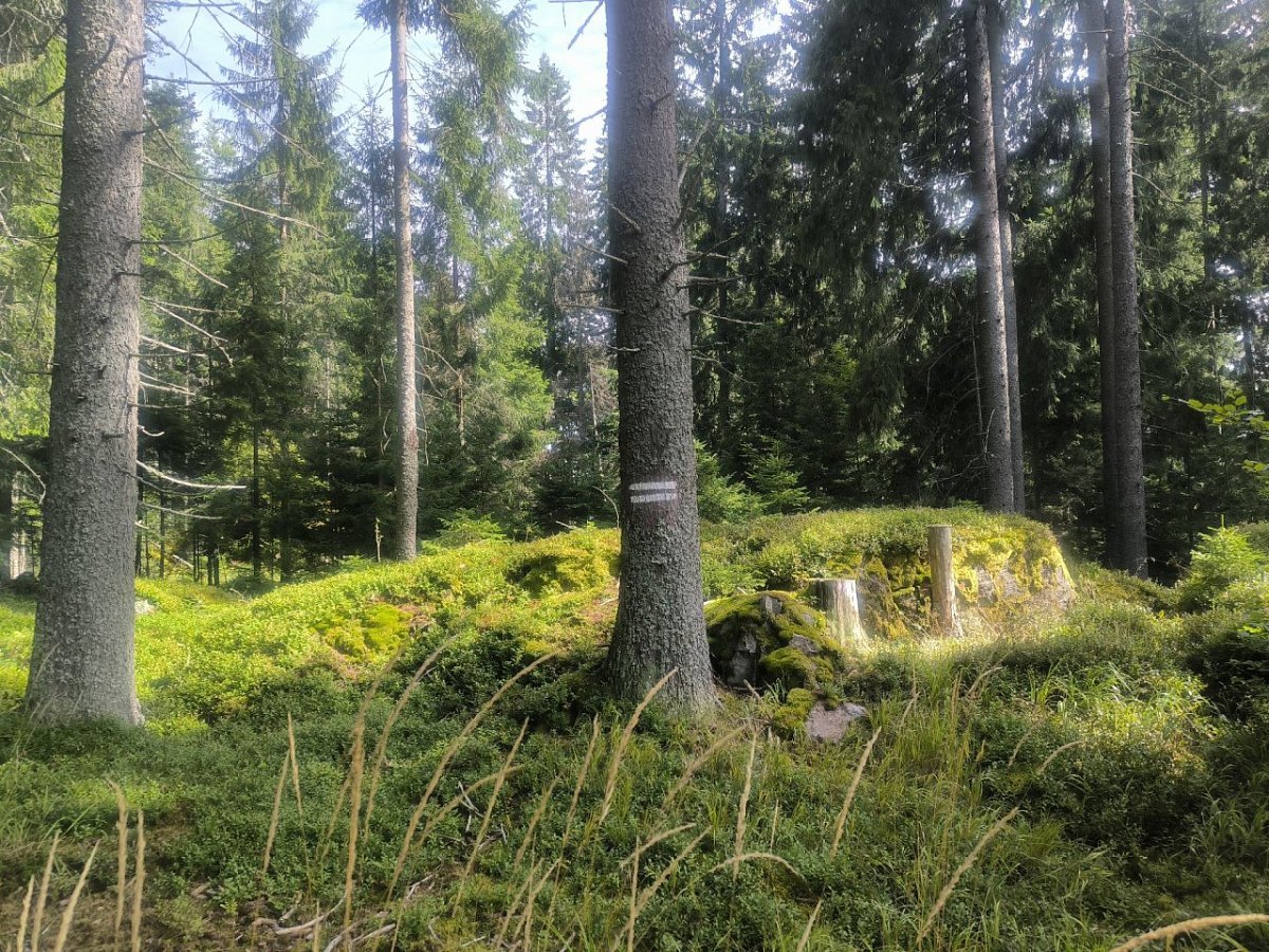 Zahrádky (1011&nbsp;m)