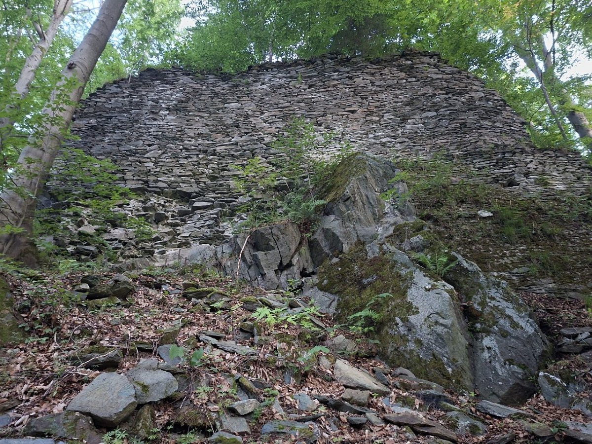 Pasecký vrch (584&nbsp;m)
