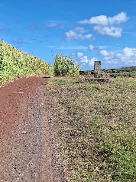 Feteira