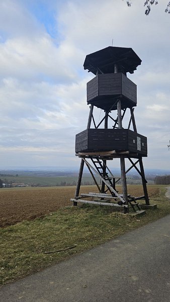 Vitčický les
