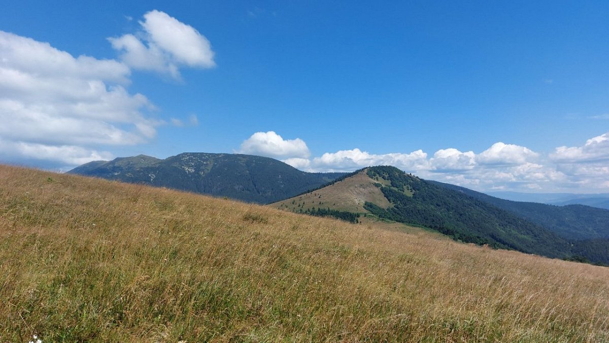 Handliarka (1208&nbsp;m)