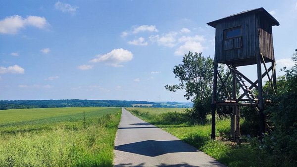 Chlupáč