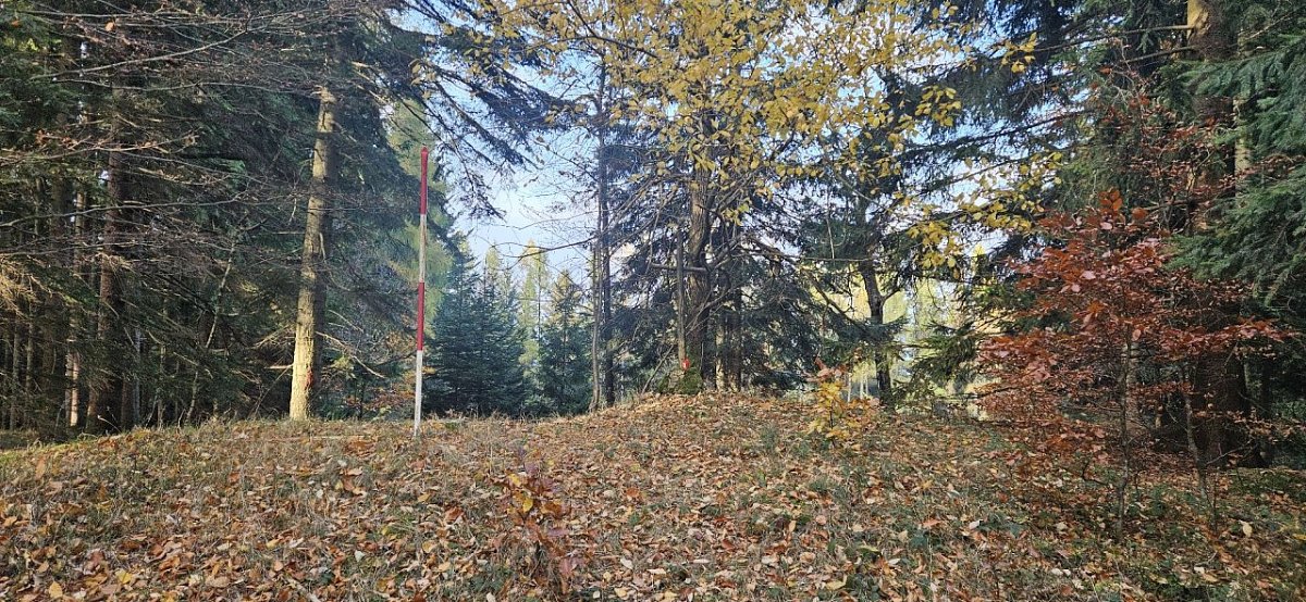 Koncová (897&nbsp;m)