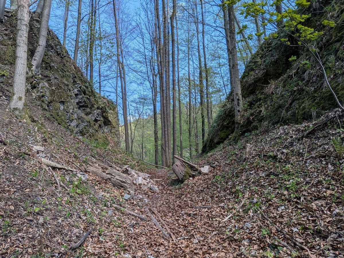 Klečkov (Nový hrad) (508&nbsp;m)