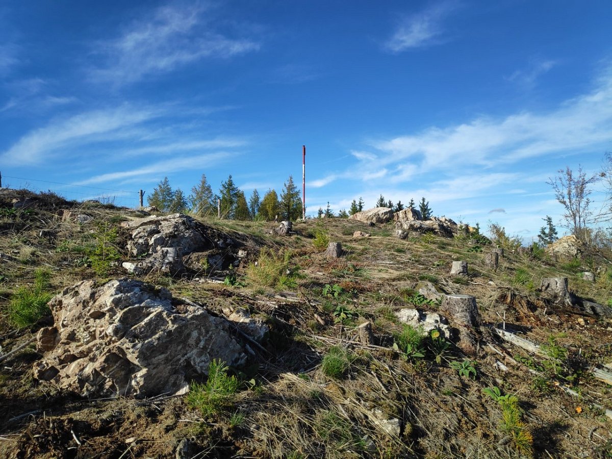 Vejslavka (541&nbsp;m)