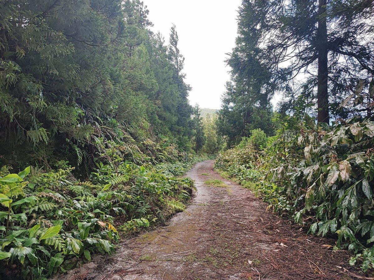 Cascalho Negro (538&nbsp;m)