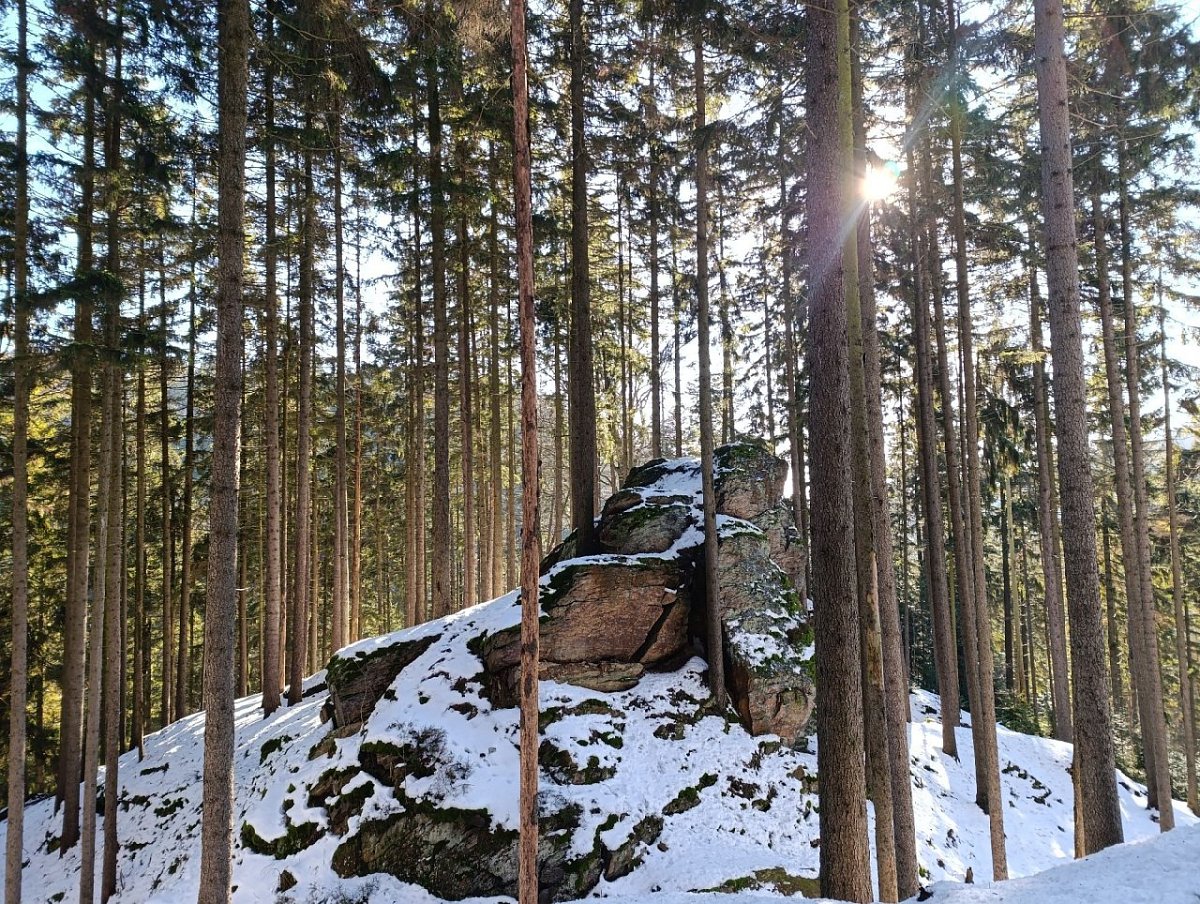 Rešov - zřícenina (538&nbsp;m)