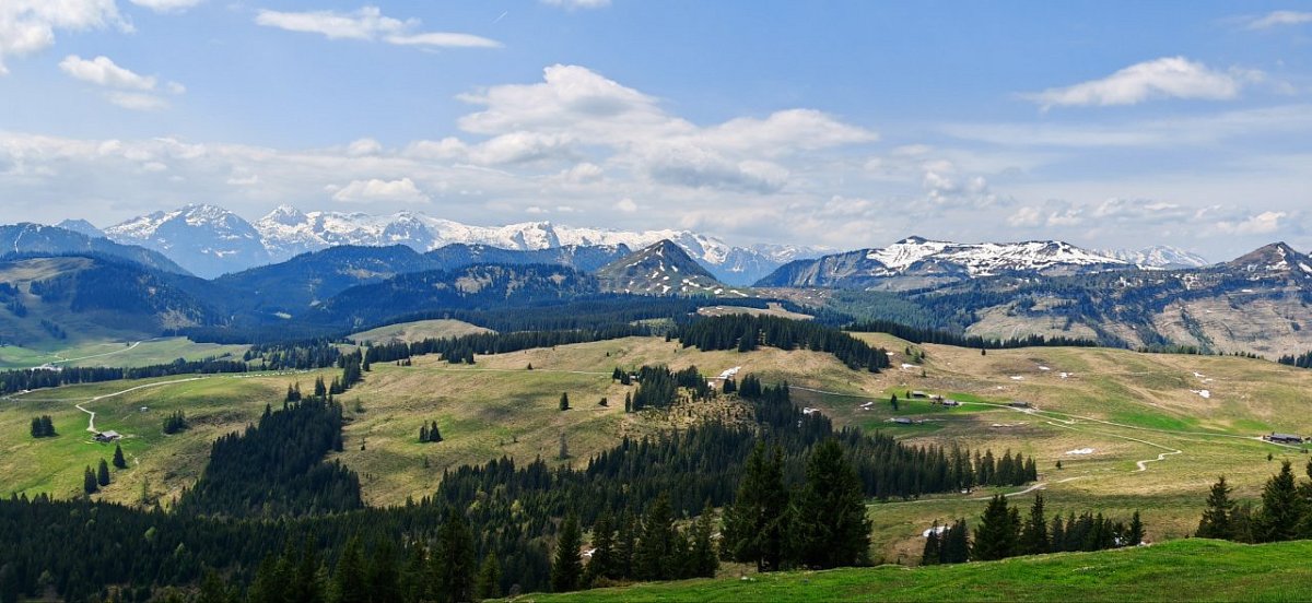 Thorhöhe (1533&nbsp;m)