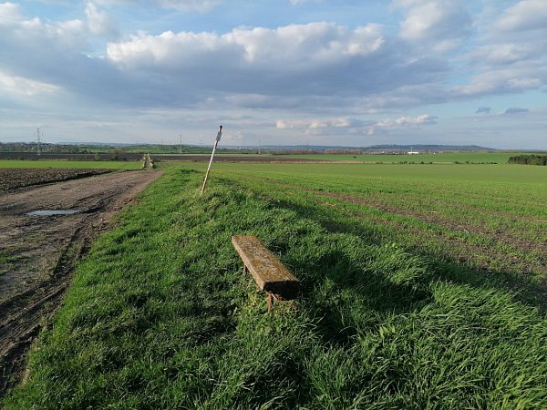 Ostrov