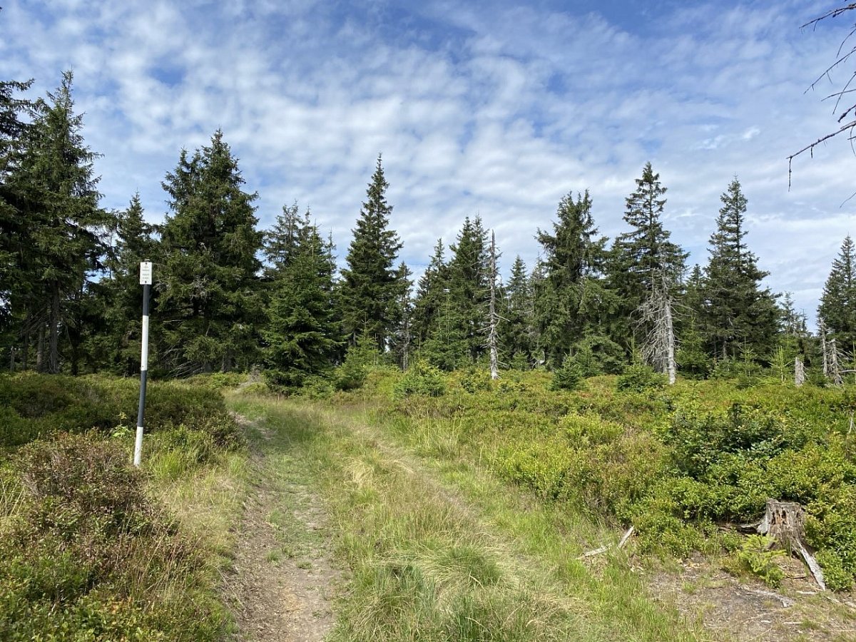 Šindelná hora (1123&nbsp;m)