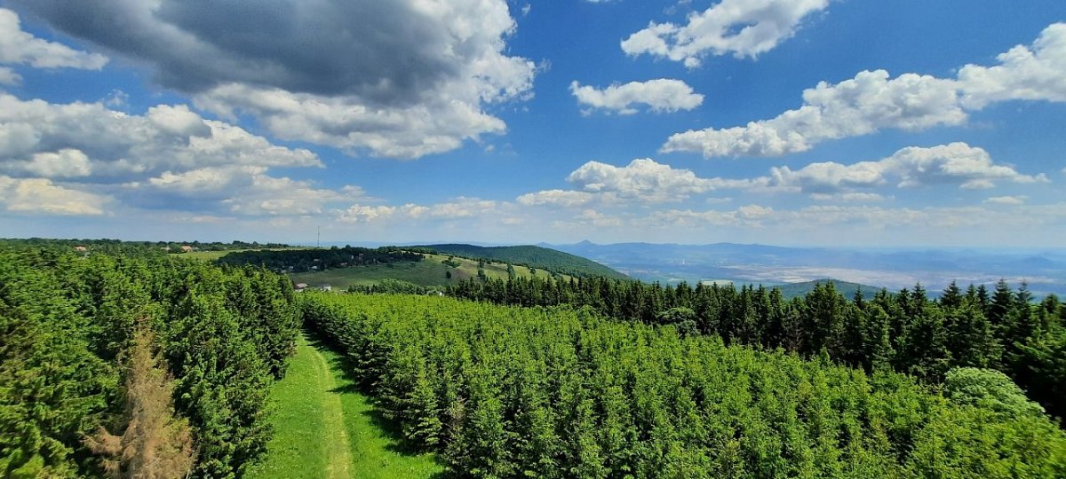 Vlčí hora (892&nbsp;m)