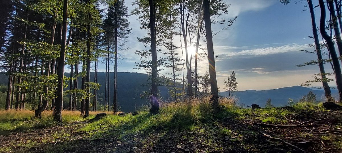 Mjaší (902&nbsp;m)
