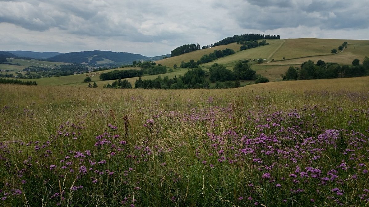 Beskid (683&nbsp;m)