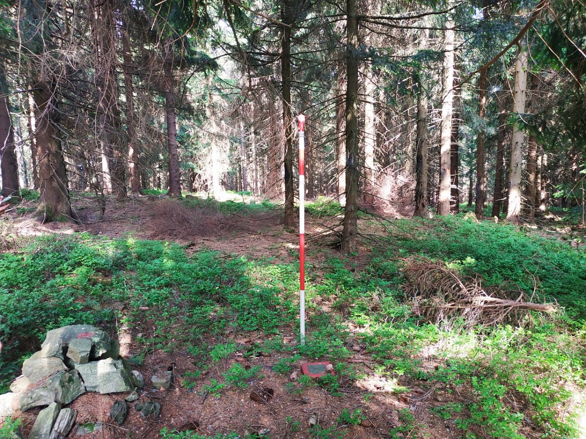 Hřebeňák (1025&nbsp;m)