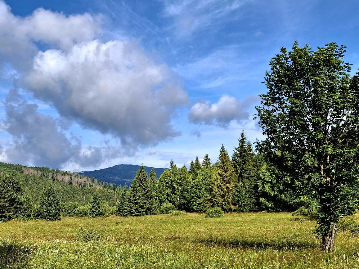 Větrný (1014&nbsp;m)