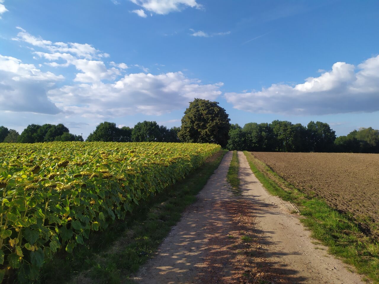 Na vrších