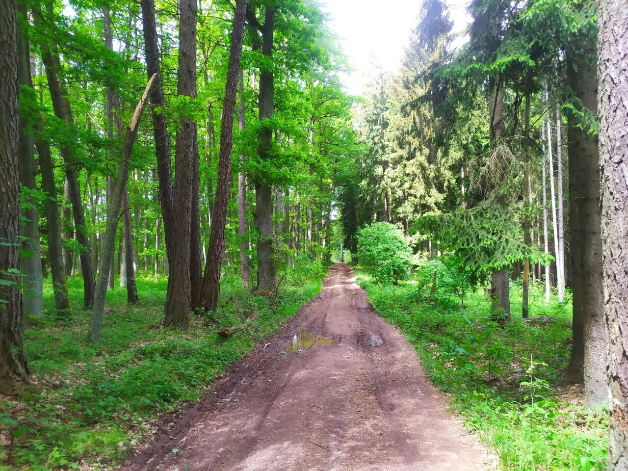 Horka