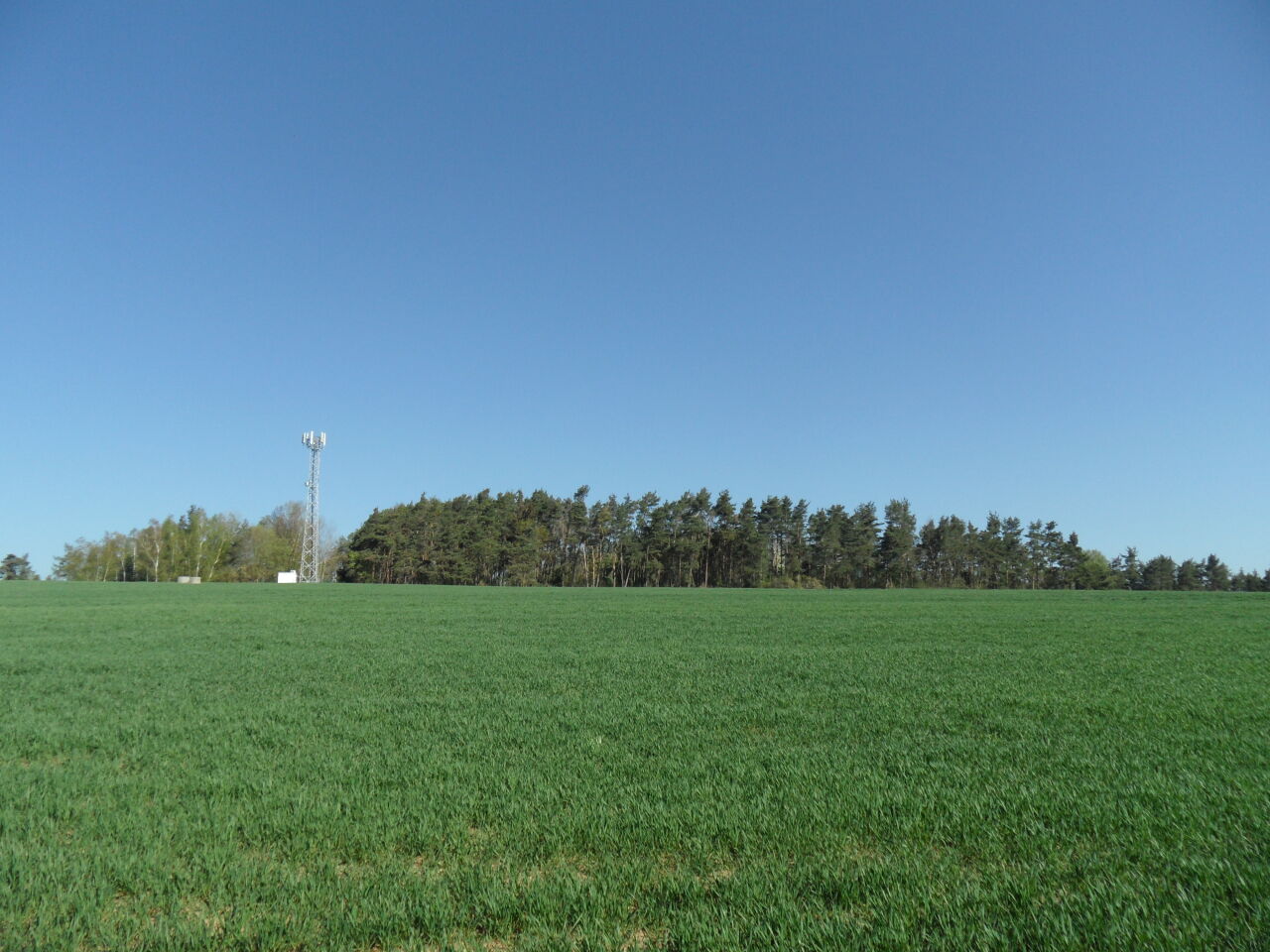 Rokošinský vrch